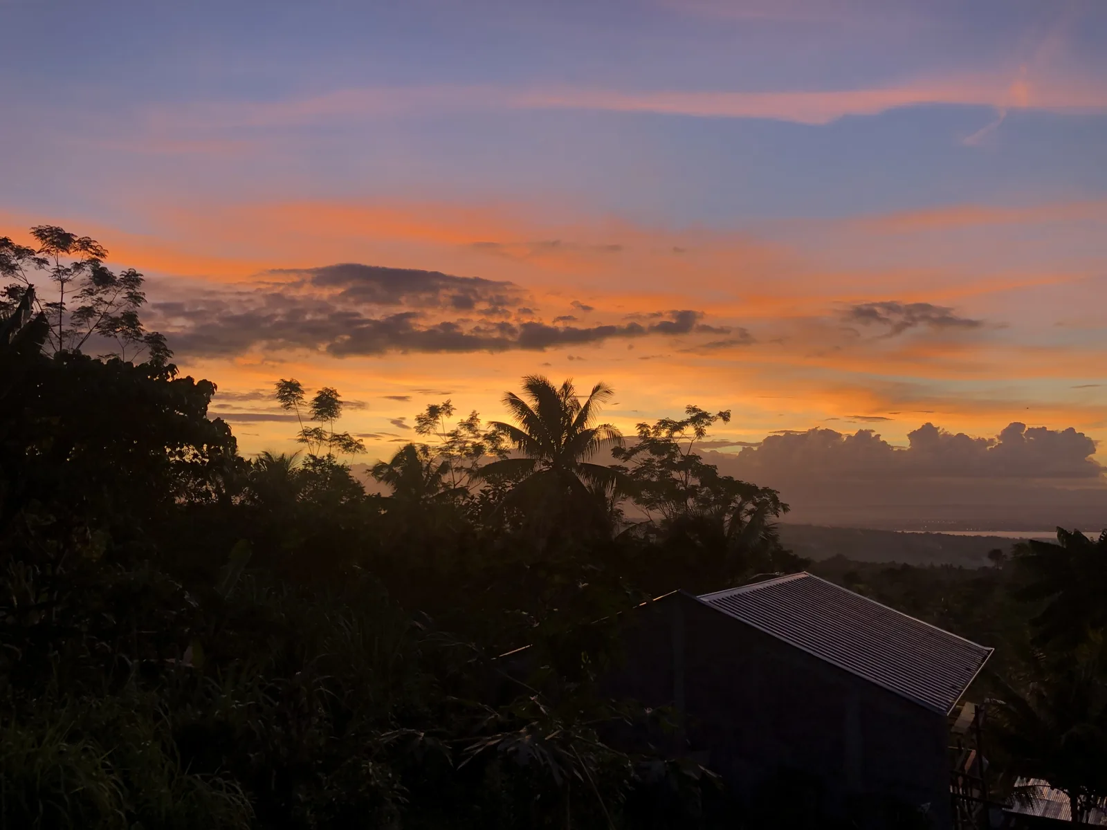 Dusk over the Davao Gulf from Samal, with palms in the foreground and the lights of Davao City across the water.